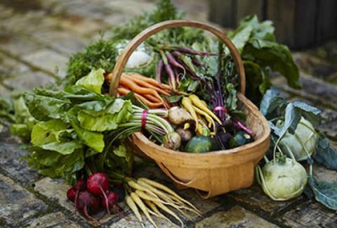 Basket of vegetables